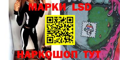a pvp Камышлов