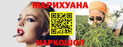 a pvp Камышлов