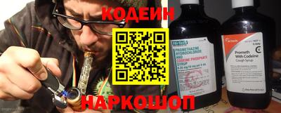 a pvp Камышлов