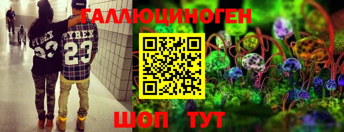 Костомукша  Псилоцибиновые грибы мухоморы  даркнет сайт  Вход с VPN 